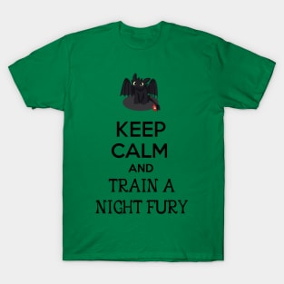 Let's Train a Night Fury! T-Shirt